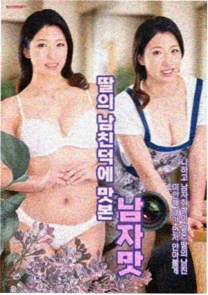 雾港十三号 热播剧手机在线追剧
